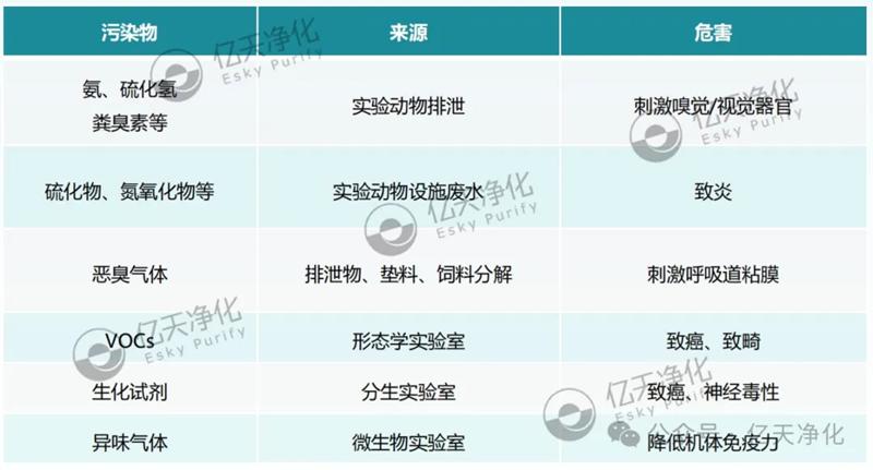 清穹·實(shí)驗(yàn)室空氣凈化柜--開(kāi)啟實(shí)驗(yàn)室空氣新“凈”界