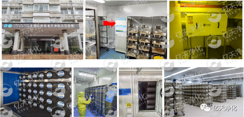 動物實驗室難聞的惡臭異味有哪些危害？如何去除？——動物實驗室去除臭味異味空氣質量控制方案